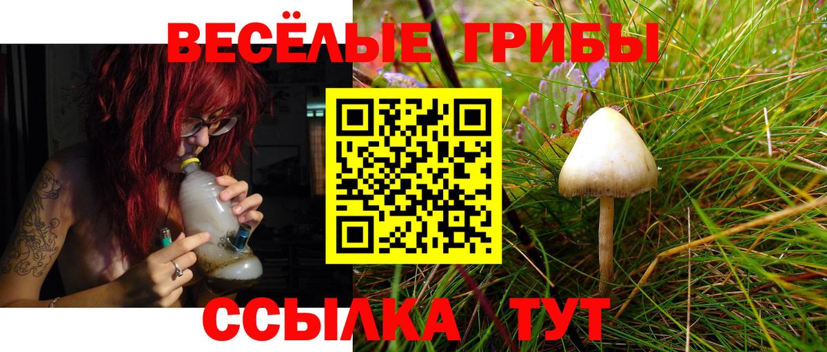 Нальчик  Галлюциногенные грибы Magic Shrooms  Вход с VPN 