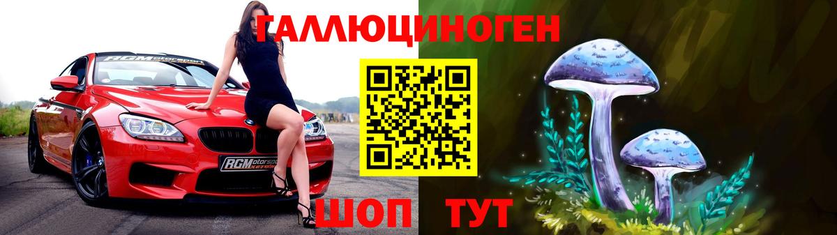 Галлюциногенные грибы Psilocybe Нальчик